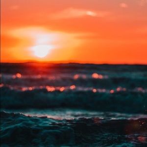 Meet your Posher, Dylanie